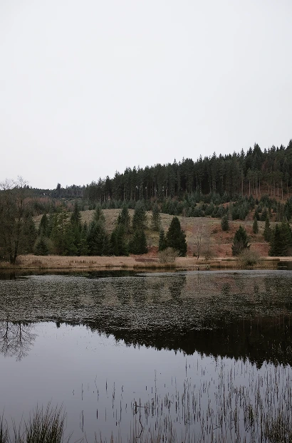 Wood Moss Tarn (15 minute walk from the cottage)