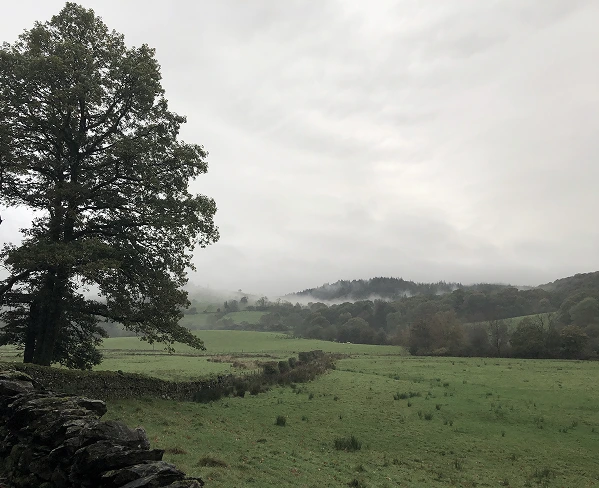 Views across a misty Rusland valley